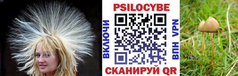 Псилоцибиновые грибы мухоморы  omg   Воронеж 